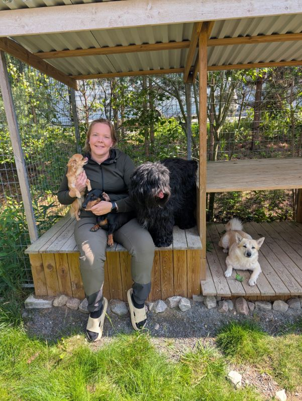 Hunddagispersonal tillsammans med hundar