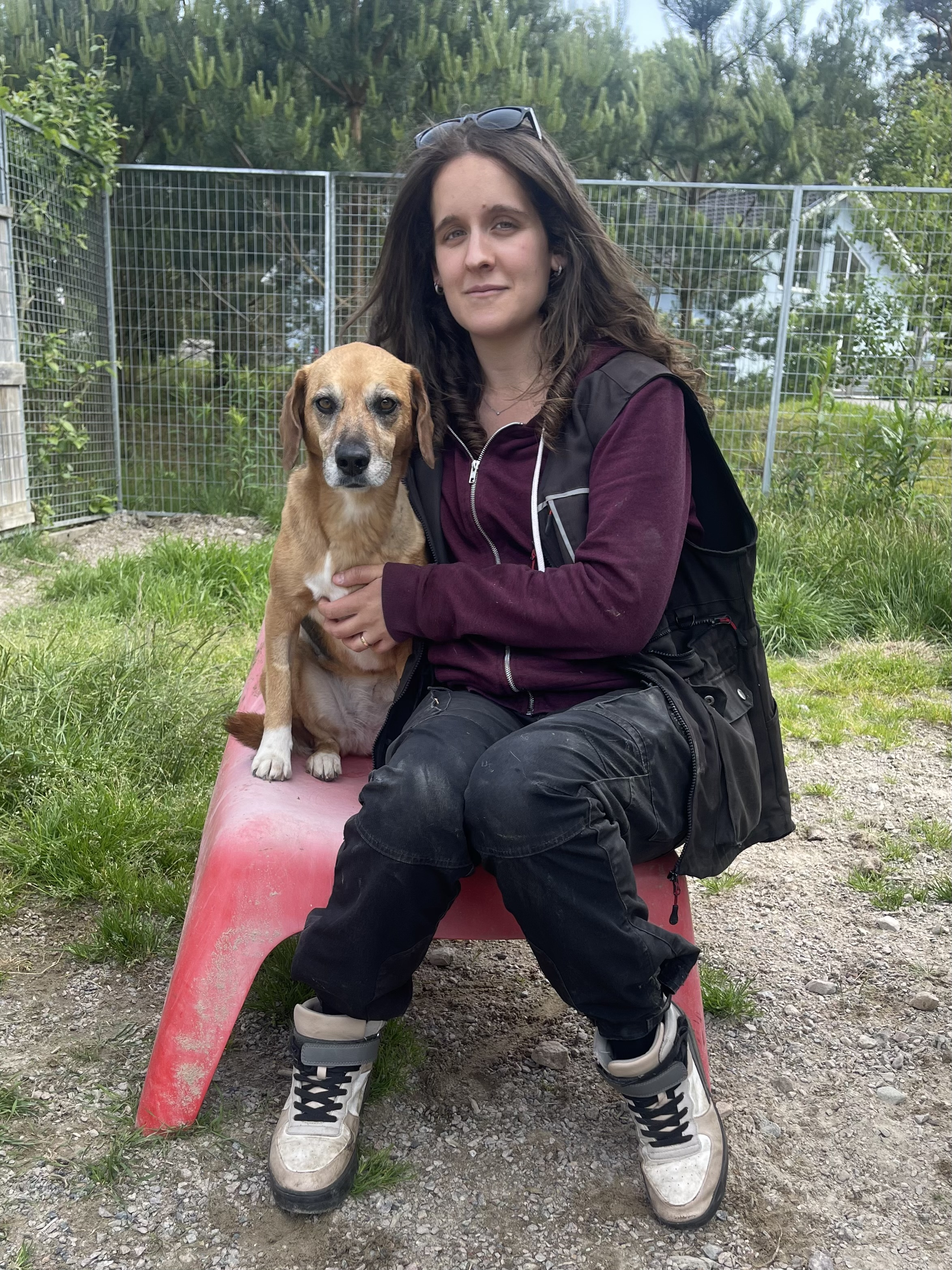 Hunddagispersonal med hund